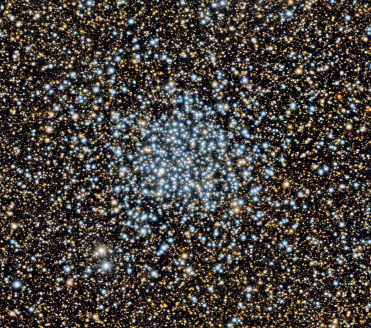 덕흥천문대 NYSC 1m 망원경으로 촬영한 야생오리 성단, 메시에 목록 11번. 별이 많이 밀집되어 있지는 않으며, 대부분 푸른 별들로 구성되어 있다. 주변의 어둡고 붉은 색의 별들은 우리 은하 중심 방향에 존재하는 배경 별들이다.
