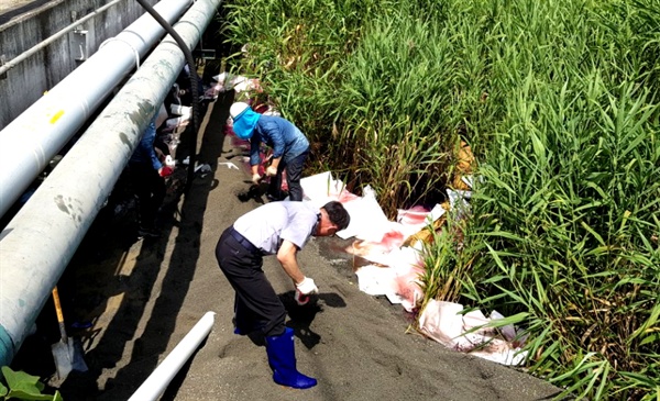 7월 12일 창원 마산항 4부두 인근에서 기름 유출사고가 발생했다.
