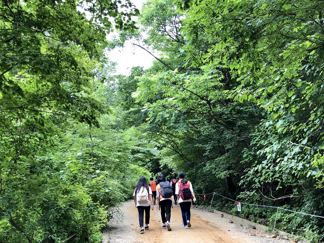 탐방객들이 초록의 노고단 탐방로를 걷고 있다.