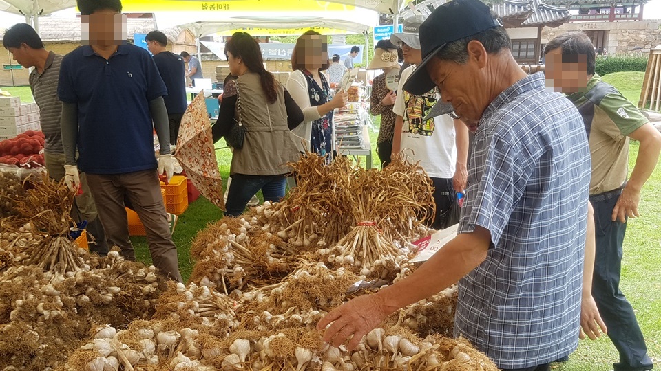 13일부터 열린 '서산6쪽마늘축제'에는 마늘뿐만 아니라 기름진 점질 황토와 보수력, 배수가 좋은 밭 토양에서 생산된 감자, 양파 등의 농특산물을 시중보다 10~20% 저렴하게 판매하고 있어, 관광객뿐만 아니라 서산 주변 지역인 홍성, 당진, 보령에서도 찾고 있다.