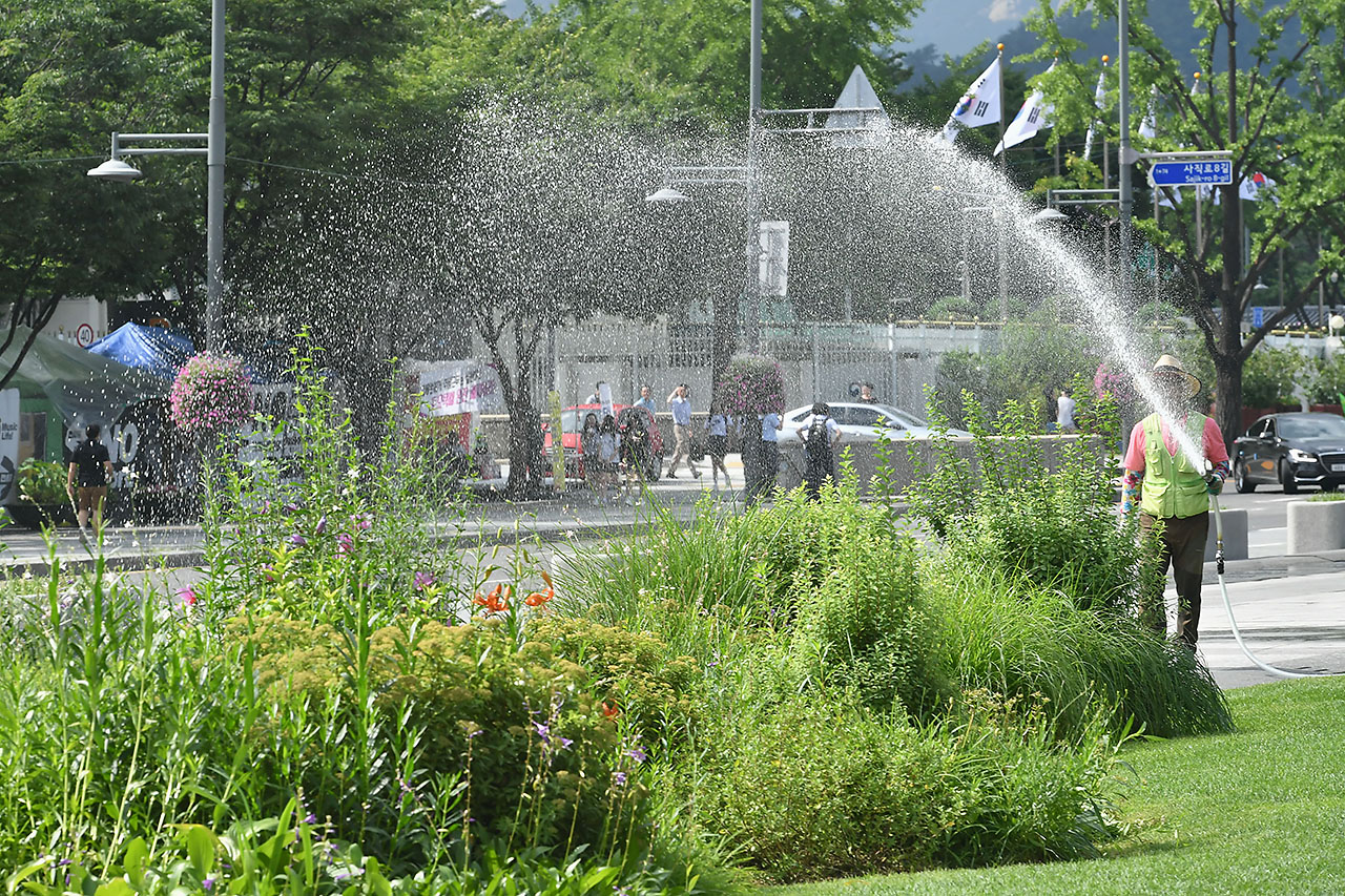 전국 대부분의 지역에서 30도를 웃돌며 찜통더위가 기승을 부린 가운데 13일 오후 서울 광화문광장 관리원들이 광장에 심어진 꽃나무와 잔디에 물을 뿌려주고 있다. 2018.7.13