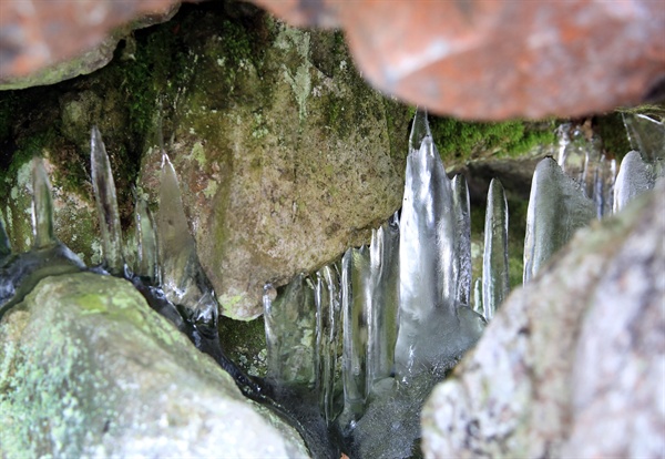 밀양 얼음골 결빙얼음.