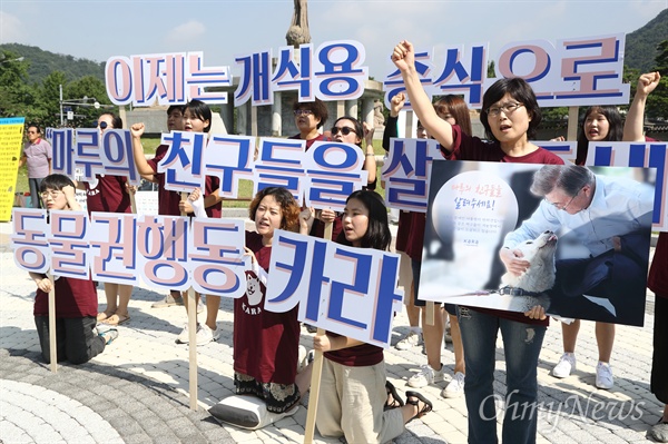 [오마이포토] 동물권행동 카라 "문재인 대통령님 마루의 친구들을 살려주세요” 