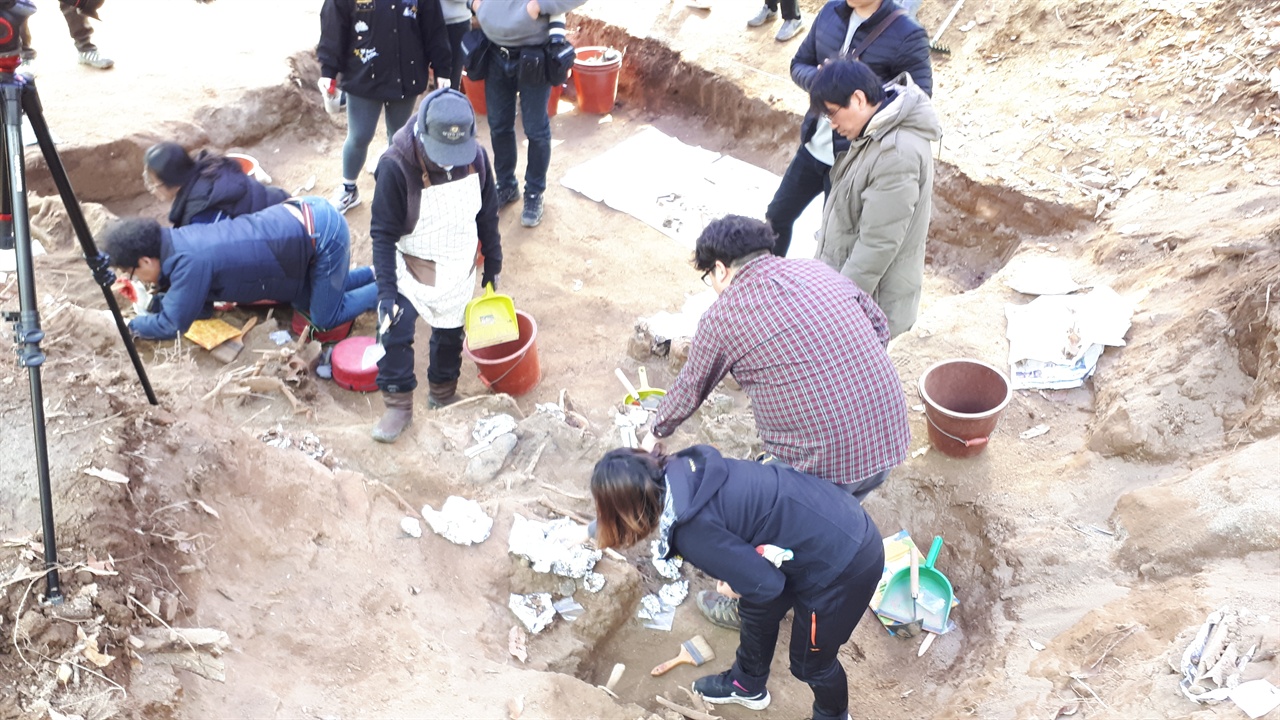 발굴단은 배방 유해발굴지는 부녀자와 어린아이 노인의 유해가 특히 많았다며 그 참혹함에 종종 발굴을 멈춰야 했다고 전했다.  