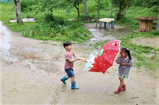 자연을 마당으로 둔 신나는 놀이터 어린이집에서 아이들은 자연과 어우러져 놀 수 있다. 