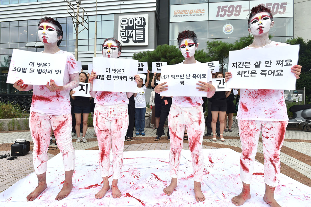 비건 동물권 활동가들이 25일 오후 서울 강동구 우아한 형제들 사옥앞에서 동물의 죽음을 희화한 배달의 민족 ‘치믈리에'를 규탄하는 기자회견을 열며 ‘치믈리에’를 패러디한 ‘피물리에 (닭 분장에 피를 묻힌 행위) 퍼포먼스를 펼치고 있다. 2018.7.25