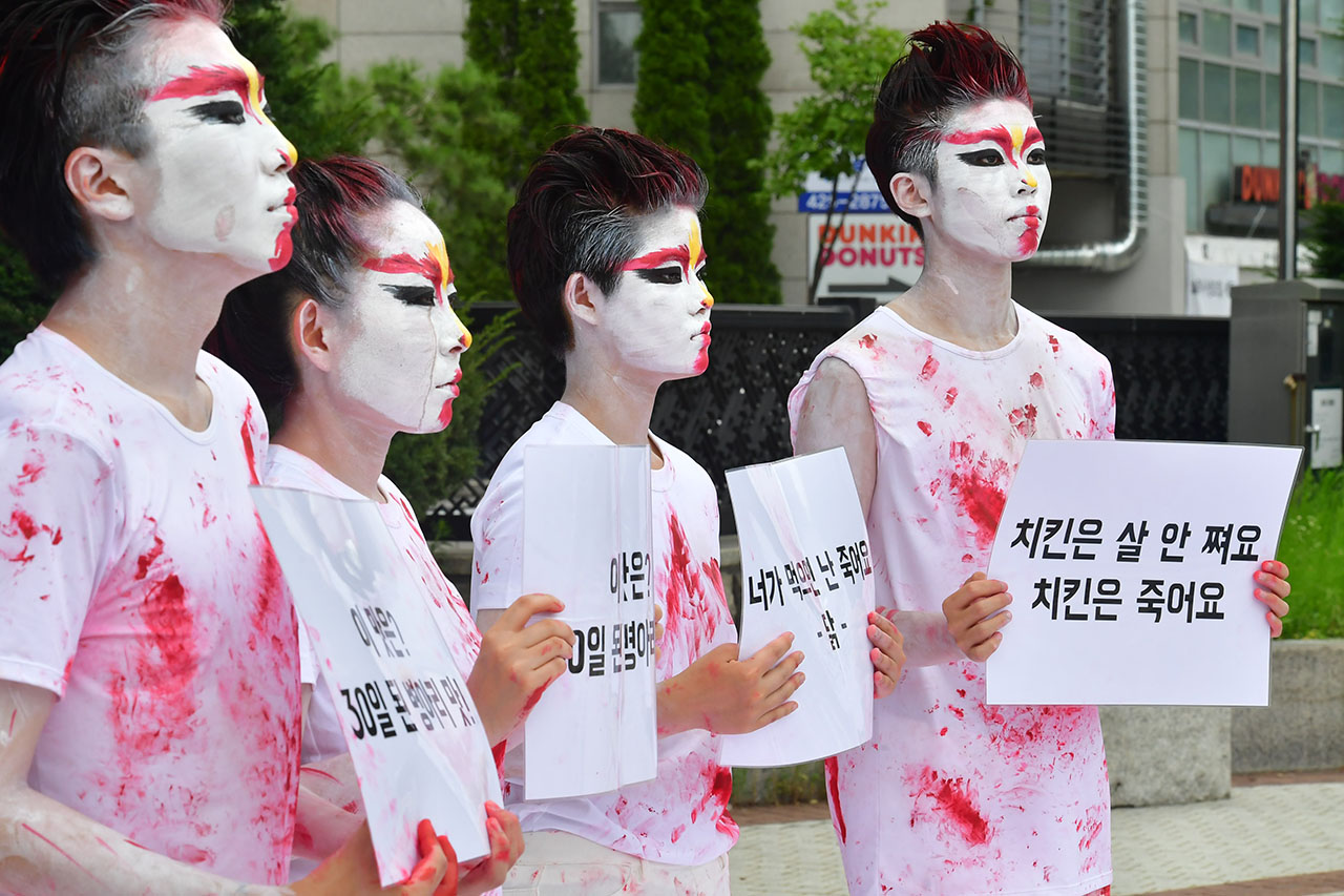비건 동물권 활동가들이 25일 오후 서울 강동구 우아한 형제들 사옥앞에서 동물의 죽음을 희화한 배달의 민족 ‘치믈리에'를 규탄하는 기자회견을 열며 ‘치믈리에’를 패러디한 ‘피물리에 (닭 분장에 피를 묻힌 행위) 퍼포먼스를 펼치고 있다. 2018.7.25