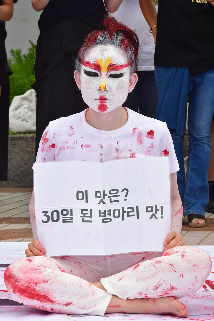 비건 동물권 활동가들이 25일 오후 서울 강동구 우아한 형제들 사옥앞에서 동물의 죽음을 희화한 배달의 민족 ‘치믈리에'를 규탄하는 기자회견을 열며 ‘치믈리에’를 패러디한 ‘피물리에 (닭 분장에 피를 묻힌 행위) 퍼포먼스를 펼치고 있다. 2018.7.25