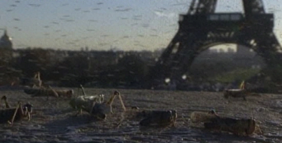 메뚜기 떼가 습격한 에펠탑의 모습 온난화로 인한 각종 곤충 떼의 습격과 병충해를 경고한다.