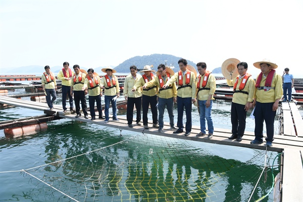  경상남도의회 농해양수산위원회는 26일 통영시 도산면, 산양읍 일대를 방문하여 고수온과 적조 대책 추진상황을 점검했다.