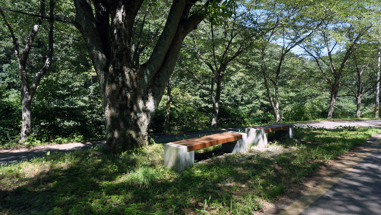 대원사 왕벚나무 길의 의자. 2014년 6월과 다른 모습 중 하나이다.(2018.7.14)