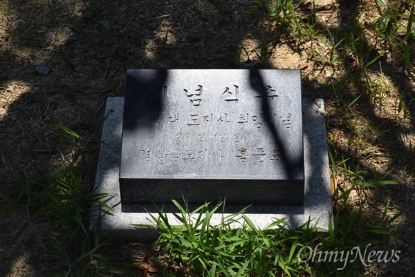 경남도청 공원 연못 주변에 있는 홍준표 전 경남지사의 취임기념 식수 표지석.