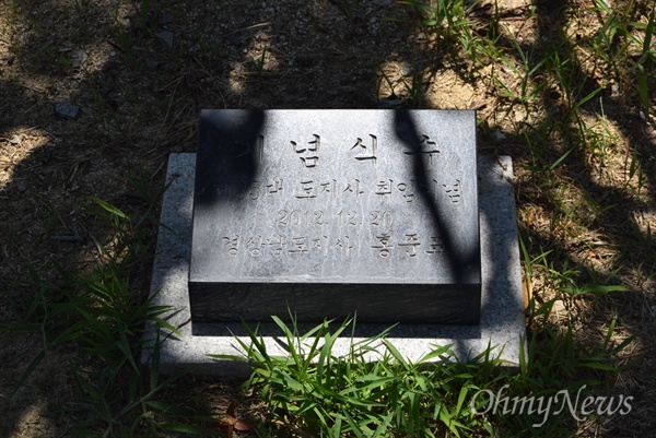  경남도청 공원 연못 주변에 있는 홍준표 전 경남지사의 취임기념 식수 표지석.