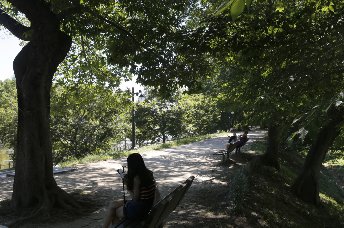 담양 관방제림 풍경. 더위를 피해 숲그늘을 찾은 여행객이 나무의자에 앉아 쉬고 있다. 지난 8월 1일이다.