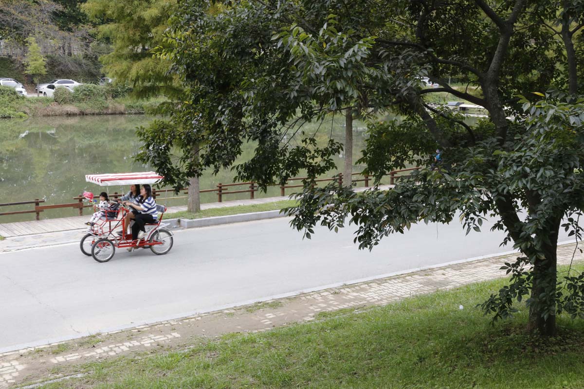 관방제림을 따라 흐르는 천변에서 여행객들이 마차형 자전거를 타며 한낮의 더위를 식히고 있다. 