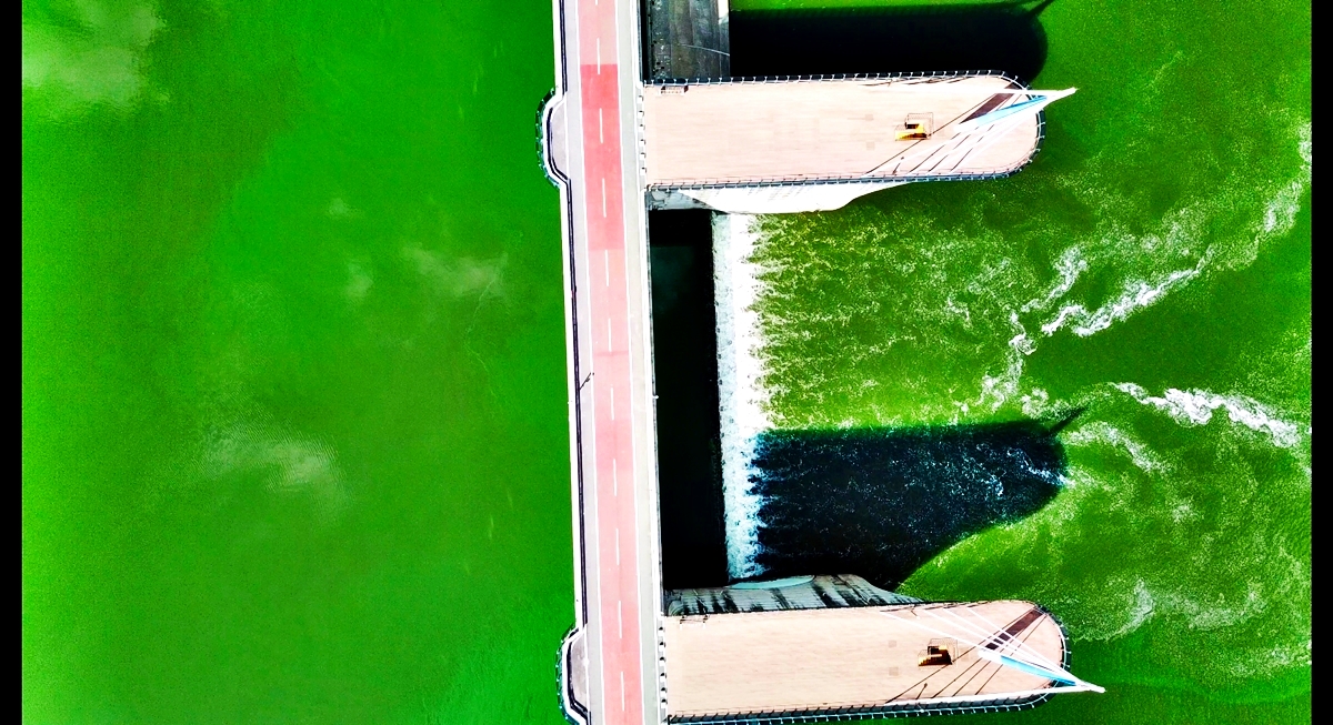  녹조라떼로 점령당한 낙동강 달성보의 모습. 녹색 강물이 흘러내리고 있다. 지난 8월 1일 오후의 달성보의 모습이다.