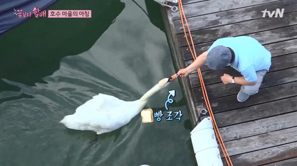  tvN <꽃보다 할배 리턴즈>의 한 장면.