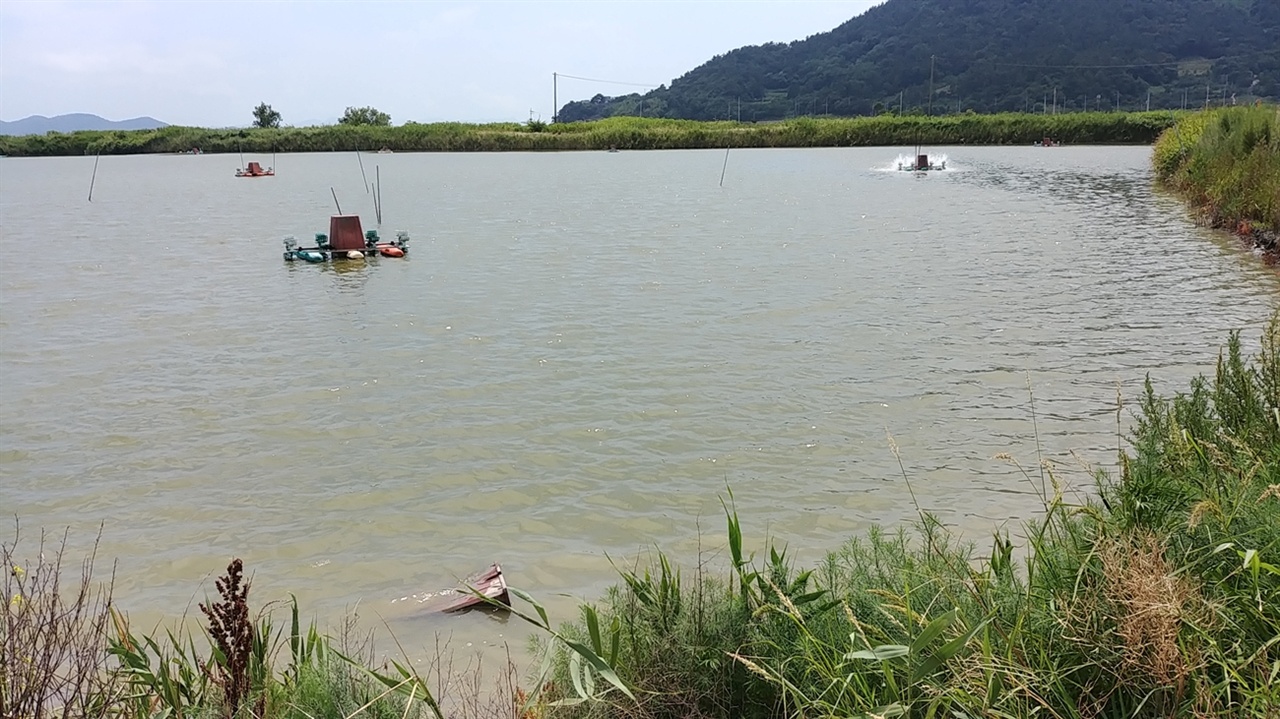  순천만 대하 양식장이다.