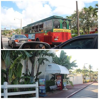 괌 체인호텔앞 버스정류장과 버스 모습
