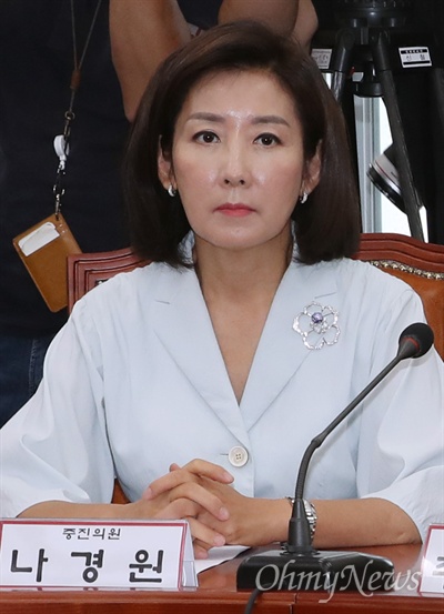 자유한국당 나경원 의원 (자료사진) 
