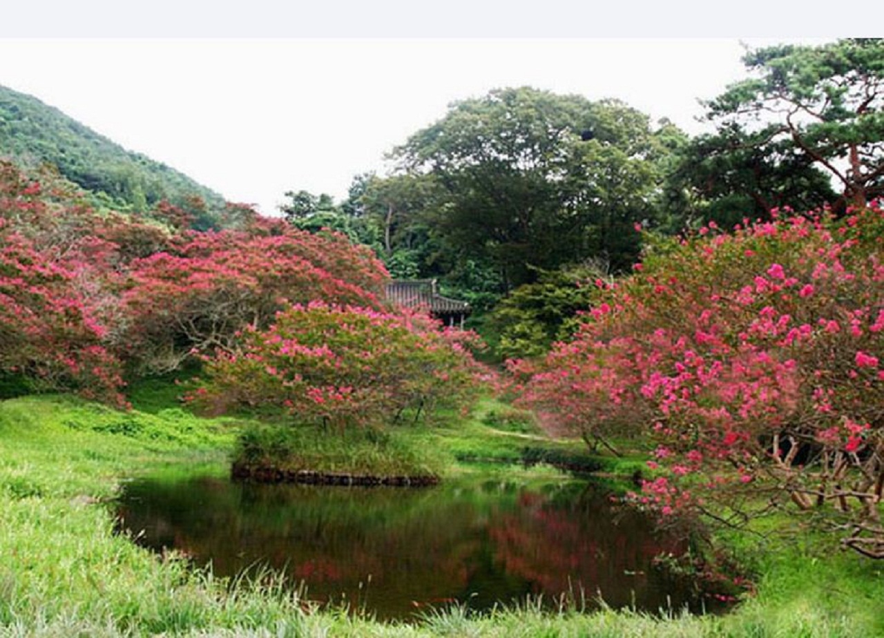 담양군 고서면 후산마을에 있는 대한민국 명승 제58호. 명옥헌 원림.선홍빛 꽃들 사이로 머리에 팔작지붕을 이고 있는 아담한 정자가 양반집 규수 인양 다소곳한 모습을 드러내고 있다.
