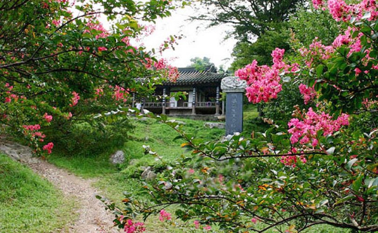  오른쪽 둑방길에서 본 명옥헌. 아래 연못과 위쪽 연못 사이에 정자가 있다.