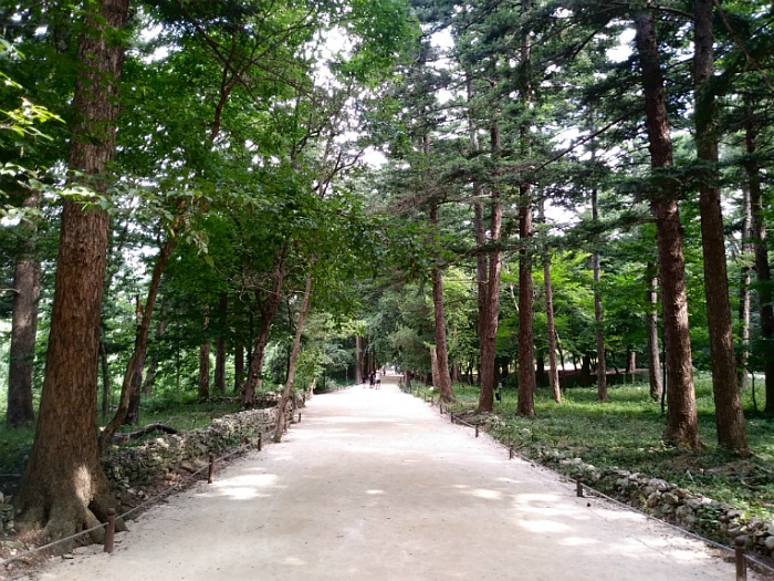 전북 부안 내소사 전나무숲