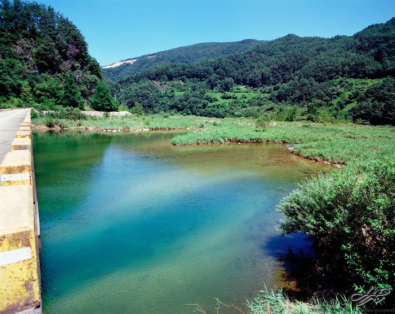 골지천의 맑은 물 (Pro400H)산의 녹음과 물의 초록빛이 깊고도 청량하다.