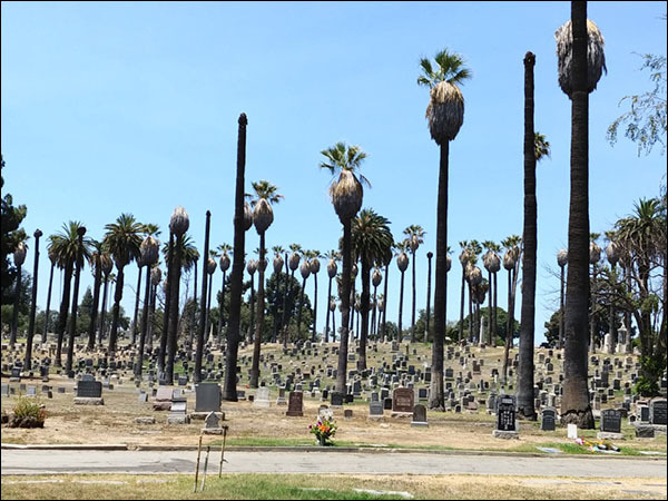 로스앤젤레스 로즈데일무덤에는 모두 283명의 한인들이 잠들어있다