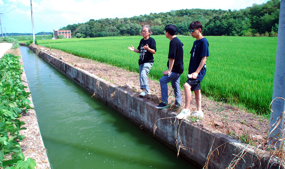 충남 부여군 세도면 농수로를 타고 공급되는 강물이 녹조로 가득하다.