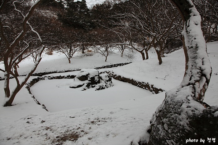 겨울날 위쪽 연못 명옥헌에는 연못이 둘 있는데, 위쪽 연못이 조용히 완상하기에 좋고 아래 연못은 꽃 잔치에 들썩인다. 