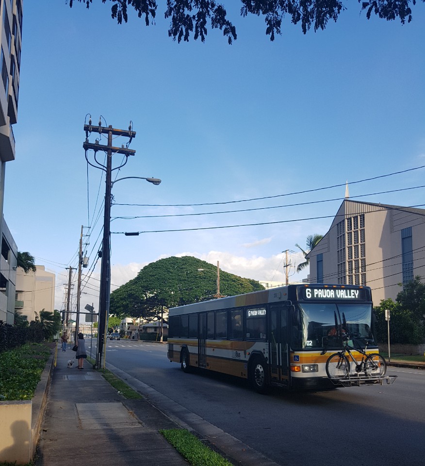 하와이의 버스