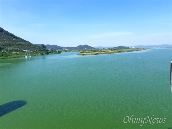 8월 15일 낙동강 창녕함안보 상류의 녹조.
