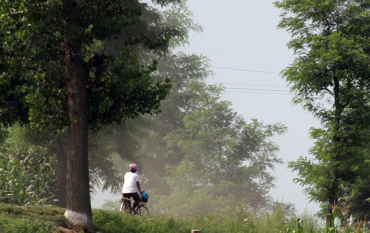 자전거 일상 트럭이 지나가고 먼지가 자욱한 압록강변 길을 한 여인이 자전거를 타고 가고 있다.