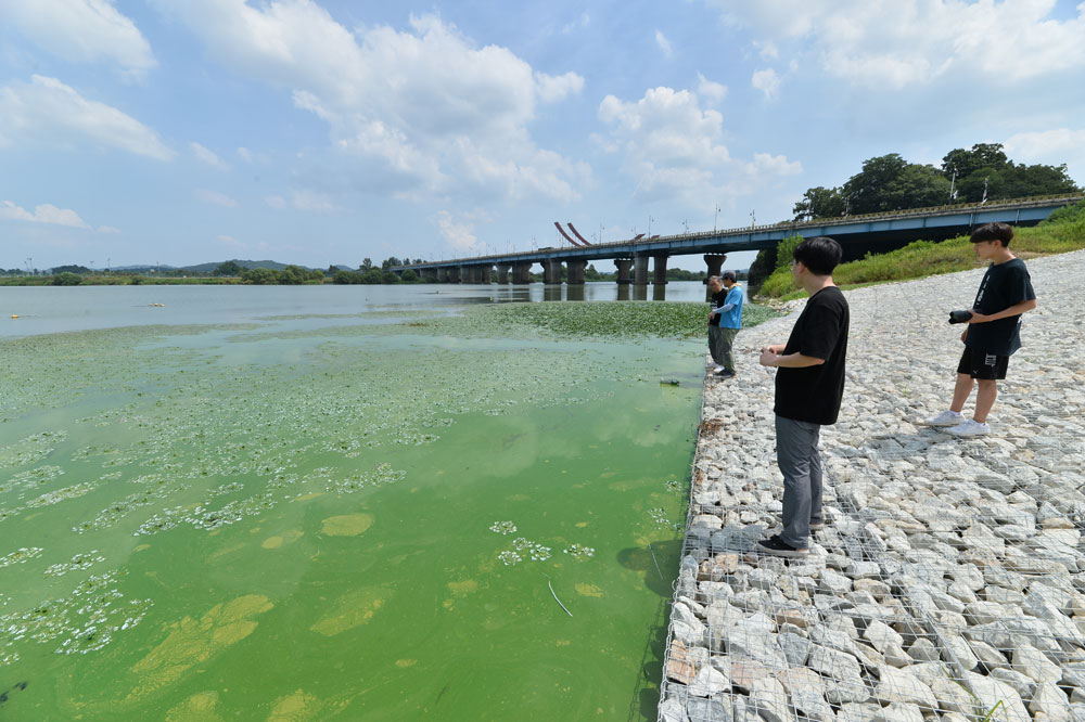 <조선>은 충남 도민들이 이런 물을 먹기를 바라는가? 가뭄이 발생하면 금강에서 도수로를 통해 보령댐으로 물을 공급하는 취수구다. 이곳에서 가져간 물은 충남 서부 8개 시군의 식수로 사용하고 있다.