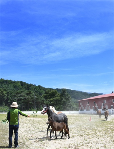  거창 위천면 남산리 오로라 승마장.