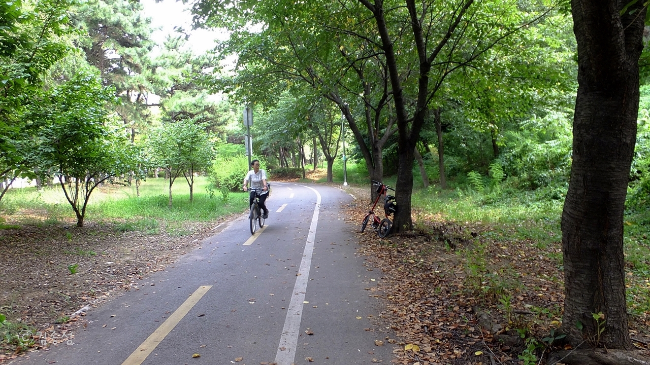 공운 숲속에 나있는 자전거 도로. 