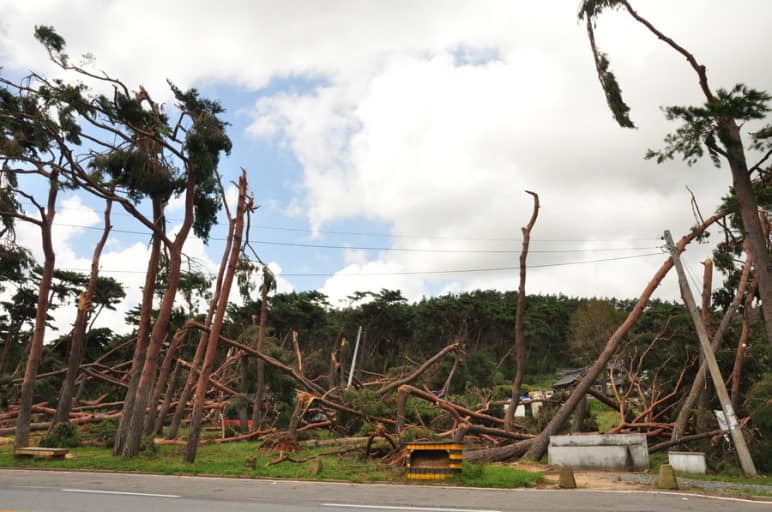 지난 2010년 9월 서산을 휩쓸고간 태풍 '곤파스'에 의해 나무들이 부러지는등 서산전역에서 큰 피해를 입었다. 