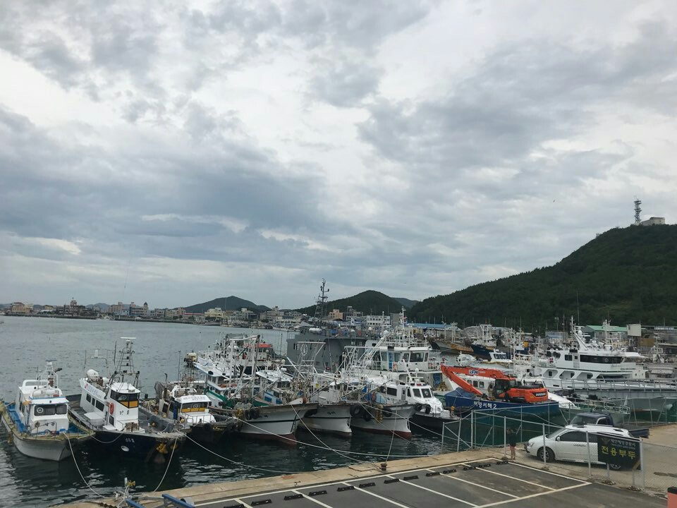  23일 태풍이 서해안으로 접근하면서 충남 전 지역에 태풍특보가 발효가 됐으며, 서해남부 먼 바다와 앞바다에는 태풍 경보와 태풍주의보가 각각 발효됐다.이에 서산. 태안지역 각 항구에는 선박들이 피항하는 한편, 기중기를 이용해 안전한 육지로 선박을 이동했다.(태안 신진도 항구에 배들이 피항해 있다)