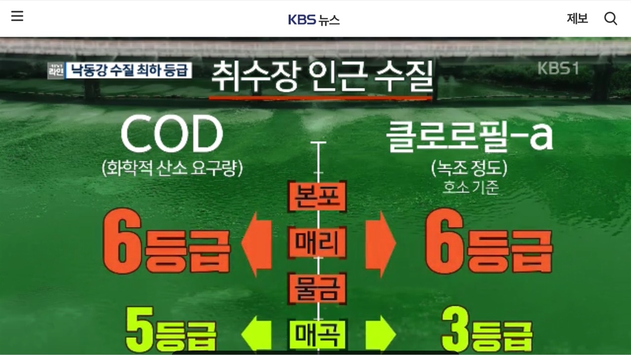 낙동강의 수질이 5~6등급 최악으로 치달았다는 KBS뉴스 보도.