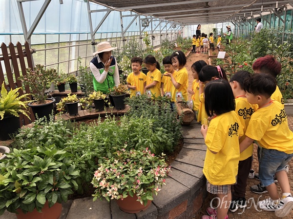 인천시 농업기술센터는 인천시내 유치원과 어린이집에 다니는 6, 7세 어린이들을 대상으로 오는 9월 10일부터 10월 16일까지 '어린이농부 체험교실'을 운영할 계획이다.

