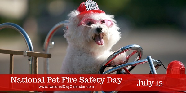 매년 7월 15일 개최되는 '미국 애완동물 소방안전의 날(National Pet Fire Safety Day)' 캠페인 사진 (사진: NationalDayCalendar.com) 