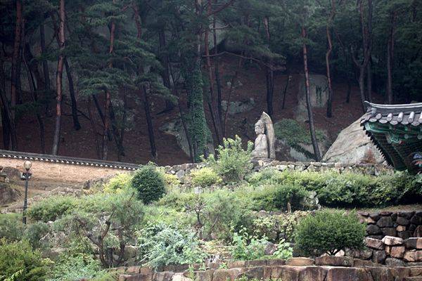 보물 제136호로 지정된 경주 남산 미륵곡 석조여래좌상 측면 모습