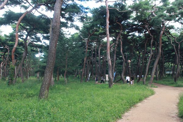 경주 황성공원 시민운동장 뒷편 산책로 모습