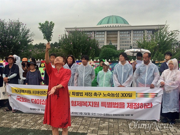  형제복지원 피해생존자와 이들과 함께하는 예술인들이 3일 오전 11시 국회 정문 앞에서 '특별법 제정을 위한 노숙농성 300일 기자회견'을 열었다.