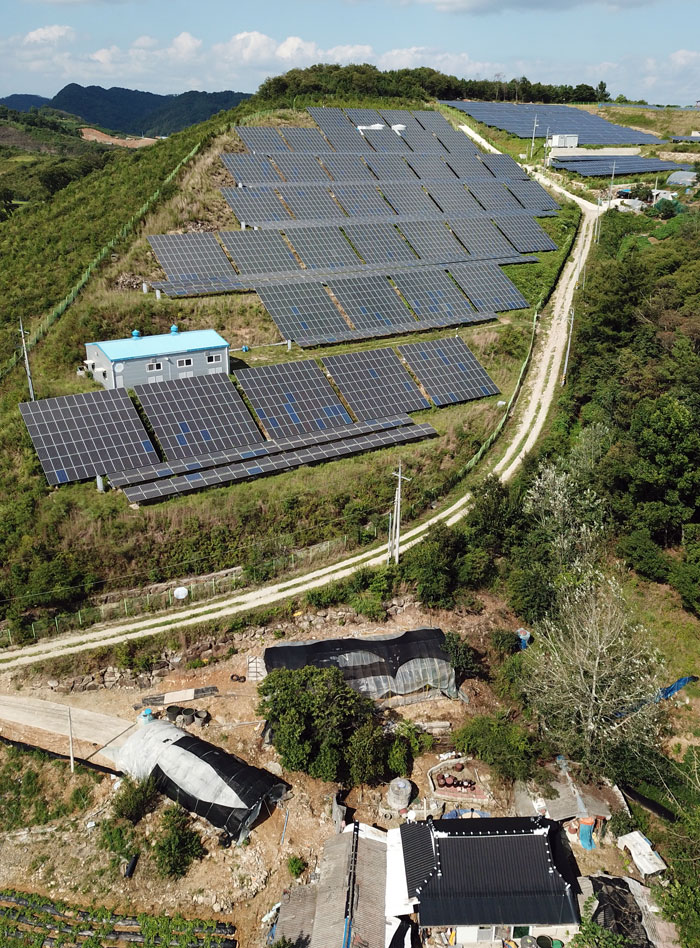  태양광발전시설이 전라북도 임실군 국도변 야산을 뒤덮고 있다.