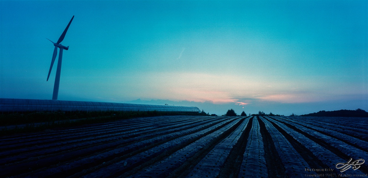 구름 속 일출 (6*12중형/Portra400)화려하지 않은, 푸르스름한 새벽녘