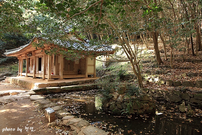 다산은 외척인 윤단의 산정에 본격적으로 정원을 꾸미기 시작했다. 