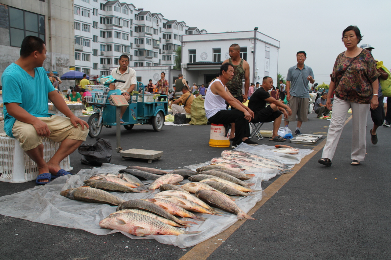 중국 새벽 시장에 나온 압록강에서 잡은 물고기