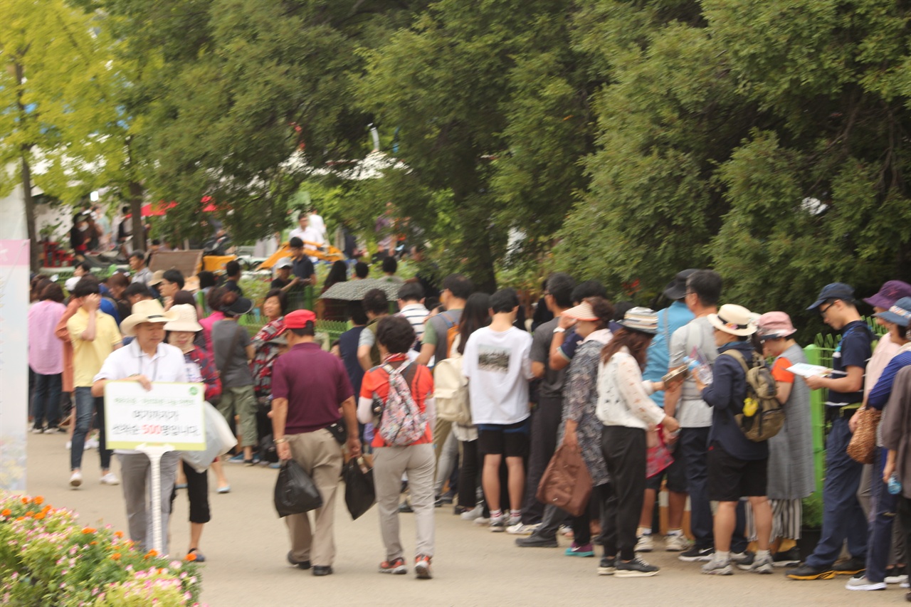 행사장에서는 시민들에게 무료로 화분과 배추씨를 나눠주는 행사를 가졌다.